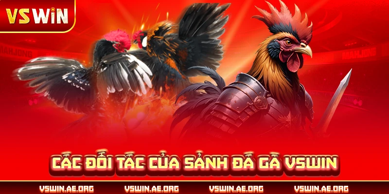 Các đối tác của sảnh đá gà VSWIN