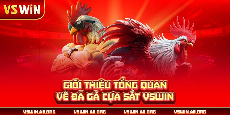 Giới thiệu tổng quan về đá gà cựa sắt VSWIN