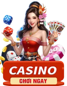 casino vswin