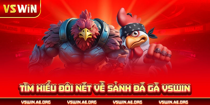 Tìm hiểu đôi nét về sảnh đá gà VSWIN