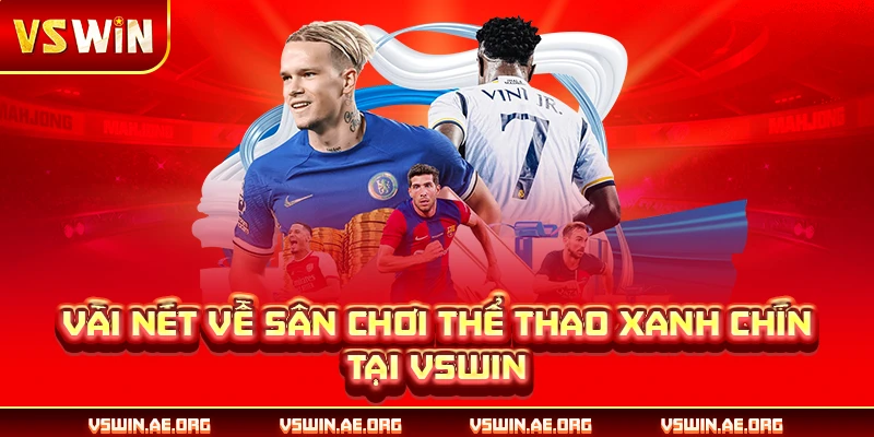 Vài nét về sân chơi thể thao xanh chín tại VSWIN
